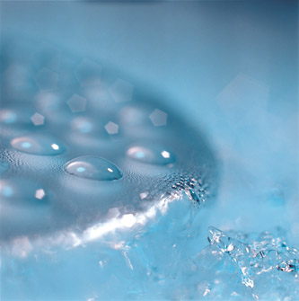 Helmholtz Forschungsgemeinschaft - Requesting mice from EMMA