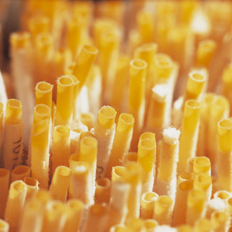 Helmholtz Forschungsgemeinschaft - Germ-free mice