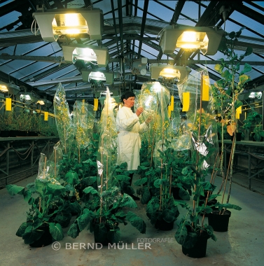 Lebenswissenschaften - Life sciences