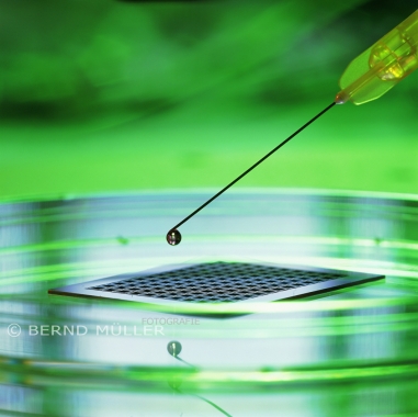 Mikrokryocontainer zur Archivierung von lebenden biologischen Proben