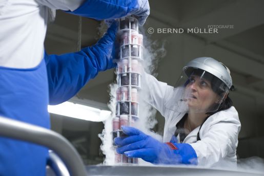 (c) Labor der Zukunft - Kryobank in Mnster / Umweltprobenbank der BRD