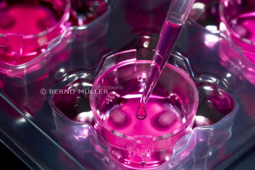 Hochschule Furtwangen