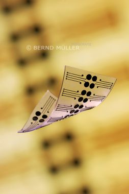 Flexible Silikonelektrodenstruktur - Fraunhofer IBMT