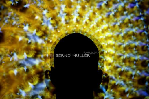 Chaosforschung / Mandelbrot-Menge